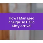 How I Managed a Surprise Hello Kitty Arrival