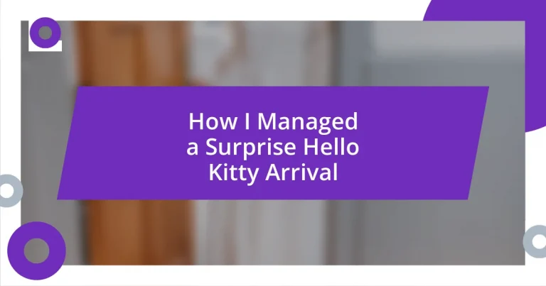 How I Managed a Surprise Hello Kitty Arrival